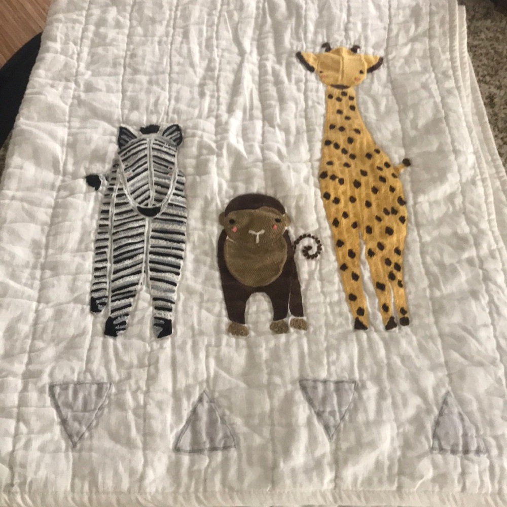 Land of Nod Quilt